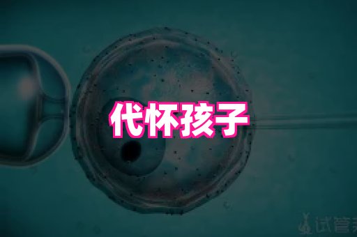 123试管孕网 4
